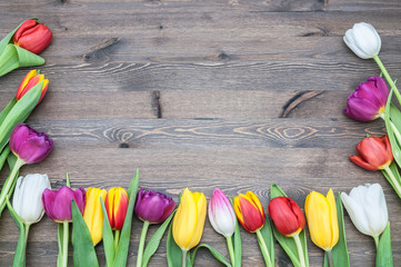Many multicolored tulips form a frame on a background of wood.