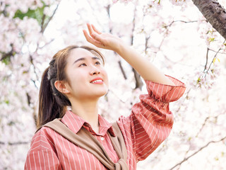 Outdoor portrait of beautiful young Chinese girl in red shirt smiling among blossom cherry tree brunch in spring garden, beauty, summer, emotion, expression and people concept.