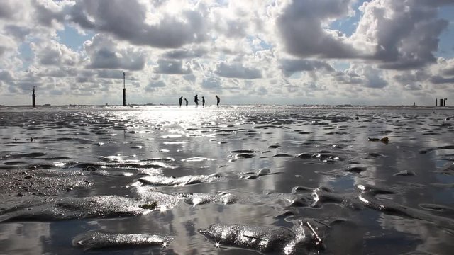 North Sea, Friesland