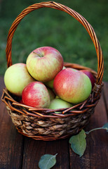 Apples in basket