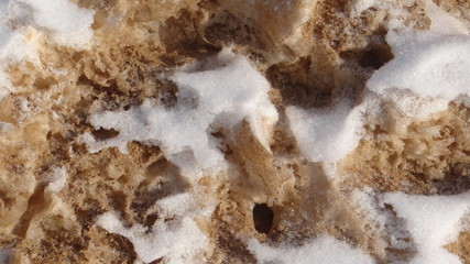 Fototapeta na wymiar The texture of melting snow.