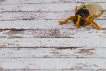 Yellow Plastic Toy Fly Insect  on Wooden Background