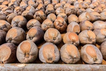 Coconut Perfume is cutting head for Breeds