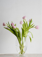 Beautiful bouquet of pink tulips in a glass vase