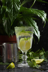 Fototapeta premium lemonade in a glass on a dark background. spray and motion