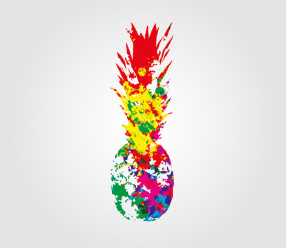 pineapple vector colors