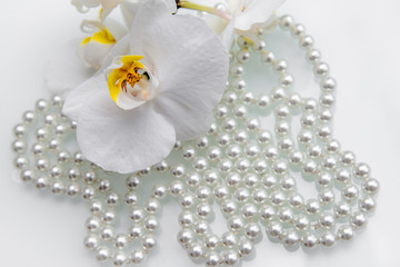     pearl and white orchid on a white glass 