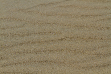 Fototapeta na wymiar Sandy beach background with lines
