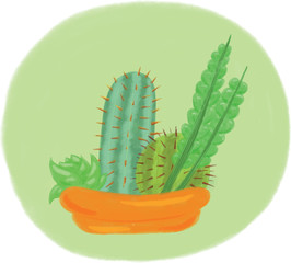 Cactus and Succulents in Pots Vector Illustrations