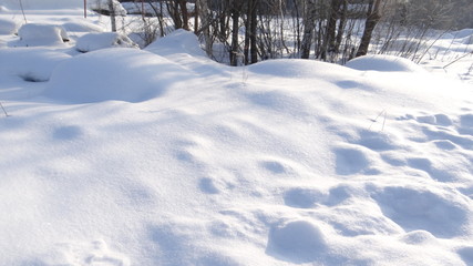 The texture of the snow.