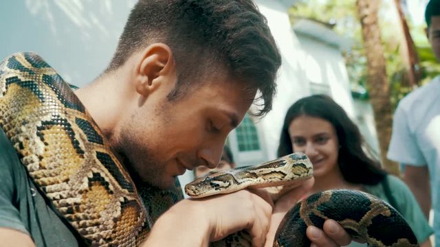 Male tourist holding a Burmese Python nuzzles the snake with his nose as his friends laugh in the background