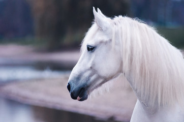 Pferdam See © Talitha