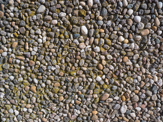 Abstract Texture Background 