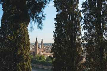 View on City and Tower between Trees