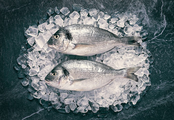 Fresh fish on ice