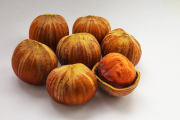 Forest nuts
