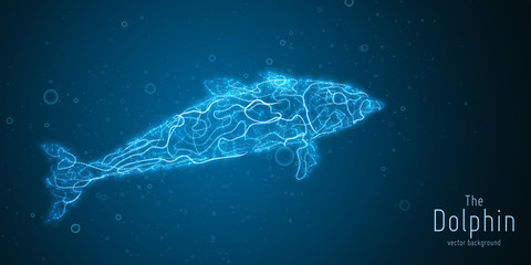 Naklejka premium Vector illustration of blue geometric dolphin constructed with branching lines. Abstract vector of dolphin in the form of a mystic silhouette with points and lines. Wireframe concept of freedom.