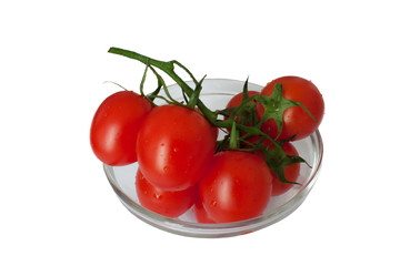 Cherry tomatoes on a branch in a vase on a white background