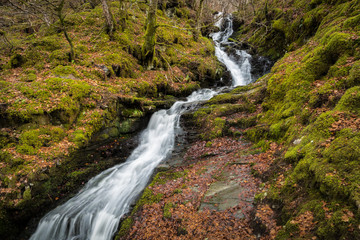 Fototapeta na wymiar Waterfall at Birks of Aberfeldy