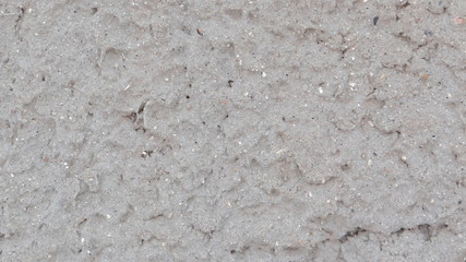 The texture of the painted surface.