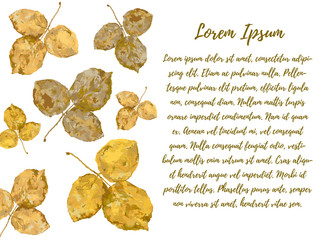 Jesienne liście © ZYTA.eM