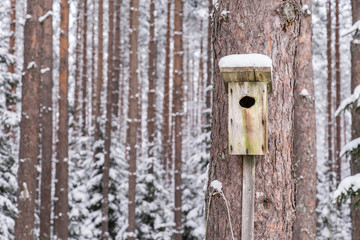 Snowy bird house on a pine tree. Wooden aviary of timber. Nest box in the forest, natural winter background pattern