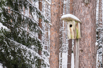 Snowy bird house on a pine tree. Wooden aviary of timber. Nest box in the forest, natural winter background pattern