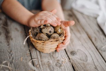 Hands of a child guard nest with small eggs. Care for nature. concept photo 