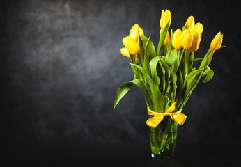 Yellow tulips on dark background