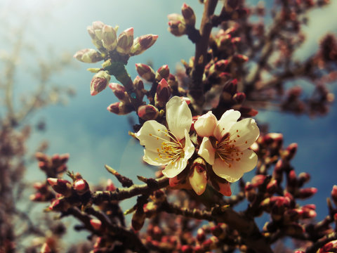 Spring start!