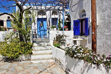 Fototapeta na wymiar Traditional houses at Volax village, Tinos island, Cyclades islands, Greece.