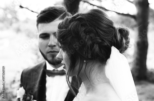 Beautiful Wedding Couple Portrait In The Forest The Bride With