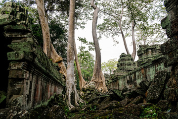 Fototapeta premium Angkor wat - one of the temples in the khmer complex with roots and trees over the walls - Siem Reap, Cambodia