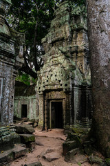 Angkor wat - one of the temples in the khmer complex with roots and trees over the walls - Siem Reap, Cambodia