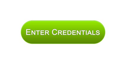 Enter credentials web interface button green color, registration online service