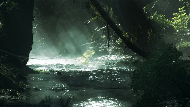 Misty stream in a New Zealand rain forest, with birds flying over the water. Green version. Early morning sunlight illuminates steam rising from the cold water.