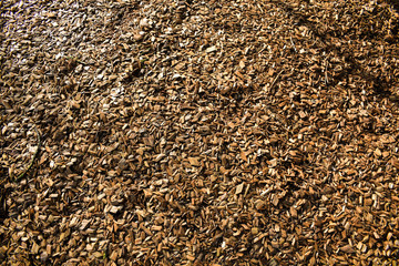 Wood Chips Flakes Chunks Pieces Brown Gold Sunshine Decoration Playground Background