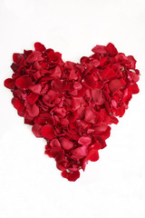 Fototapeta na wymiar Heart of red rose petals