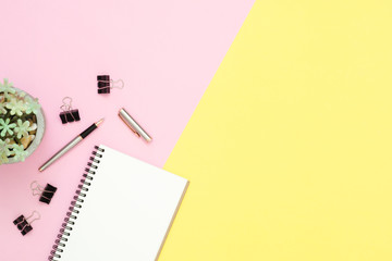 Creative flat lay photo of workspace desk. Top view office desk with open mock up notebooks and pencil and plant on pink yellow pastel color background. Top view with copy space, flat lay photography.