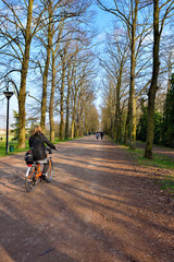 panorama from the historic walls of Ferrara Italy