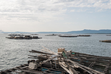 Fototapeta na wymiar Mussel aquaculture rafts, batea, in Arousa estuary