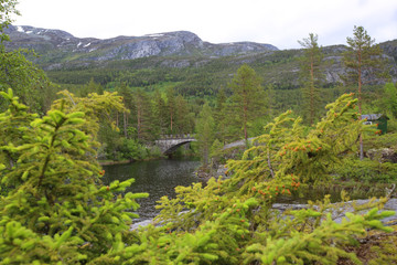 Fototapeta na wymiar Tinnsja lake, Norway