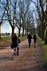 panorama from the historic walls of Ferrara Italy