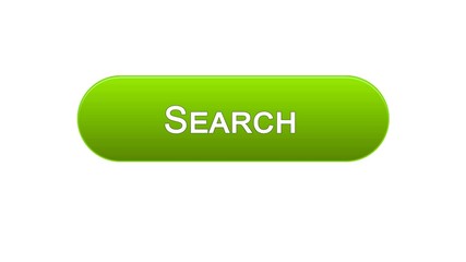 Search web interface button green color, internet monitoring, site design