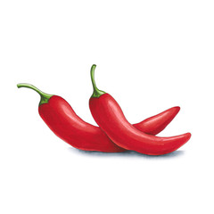 Chili pepper on a white background. Sketch done in alcohol markers