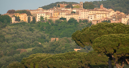 Obraz premium Tuscan Countryside