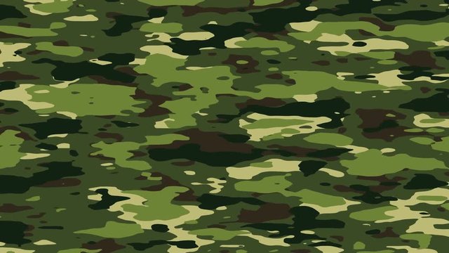 Hunting Camo Video Footage Browse 619 HD Stock Video and Footage
