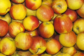 background - small ripe red-yellow seasonal apples closeup
