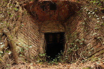 Fototapeta na wymiar Lost Place - Eingang in Ruine