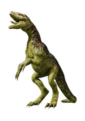 3D Rendering Dinosaur Tyrannosaurus Hatchling on White